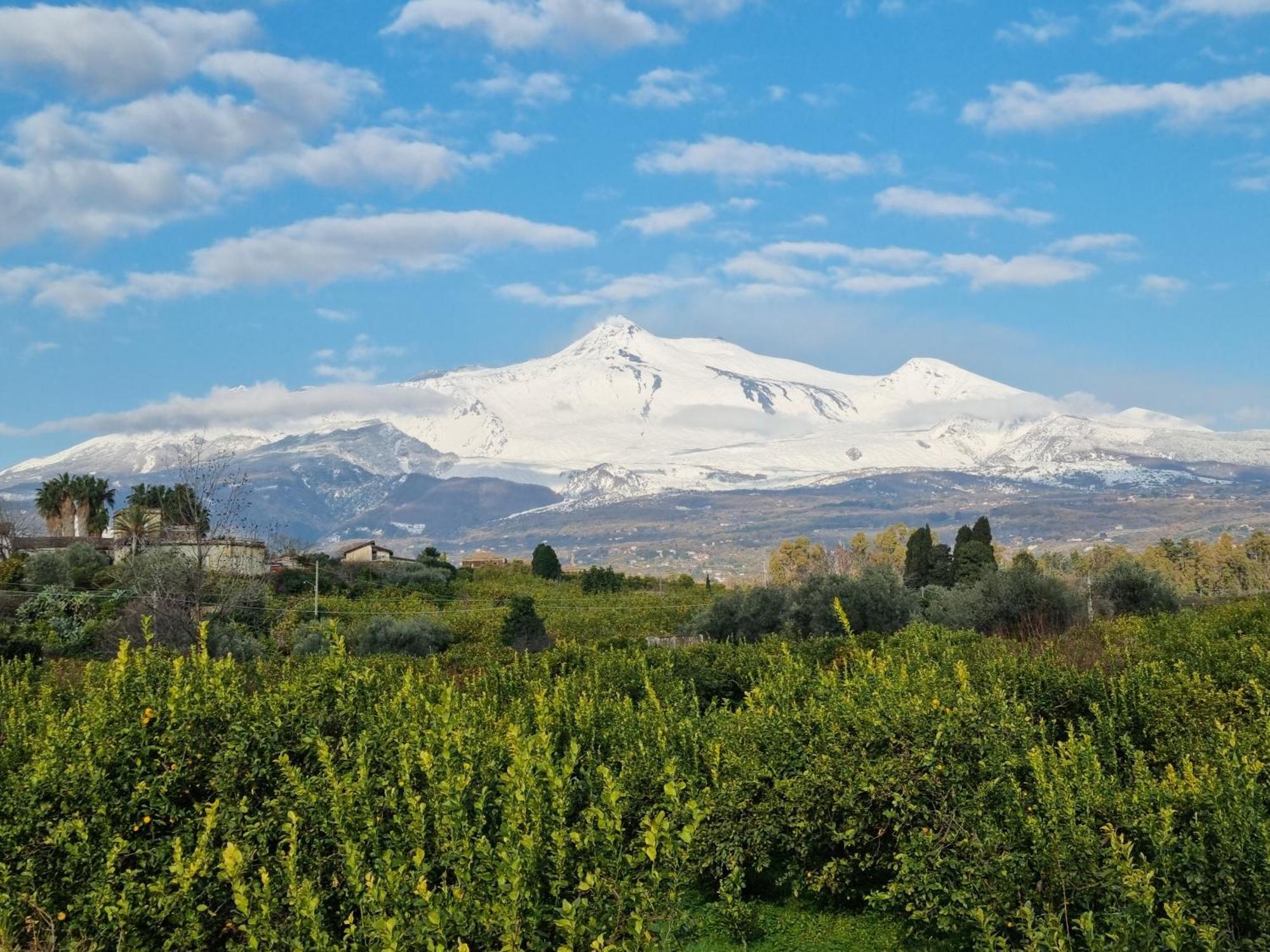 Le Dimore Del Corso II Ad Acireale Fra Catania, Taormina, Il Mare E L'Etna Esterno foto