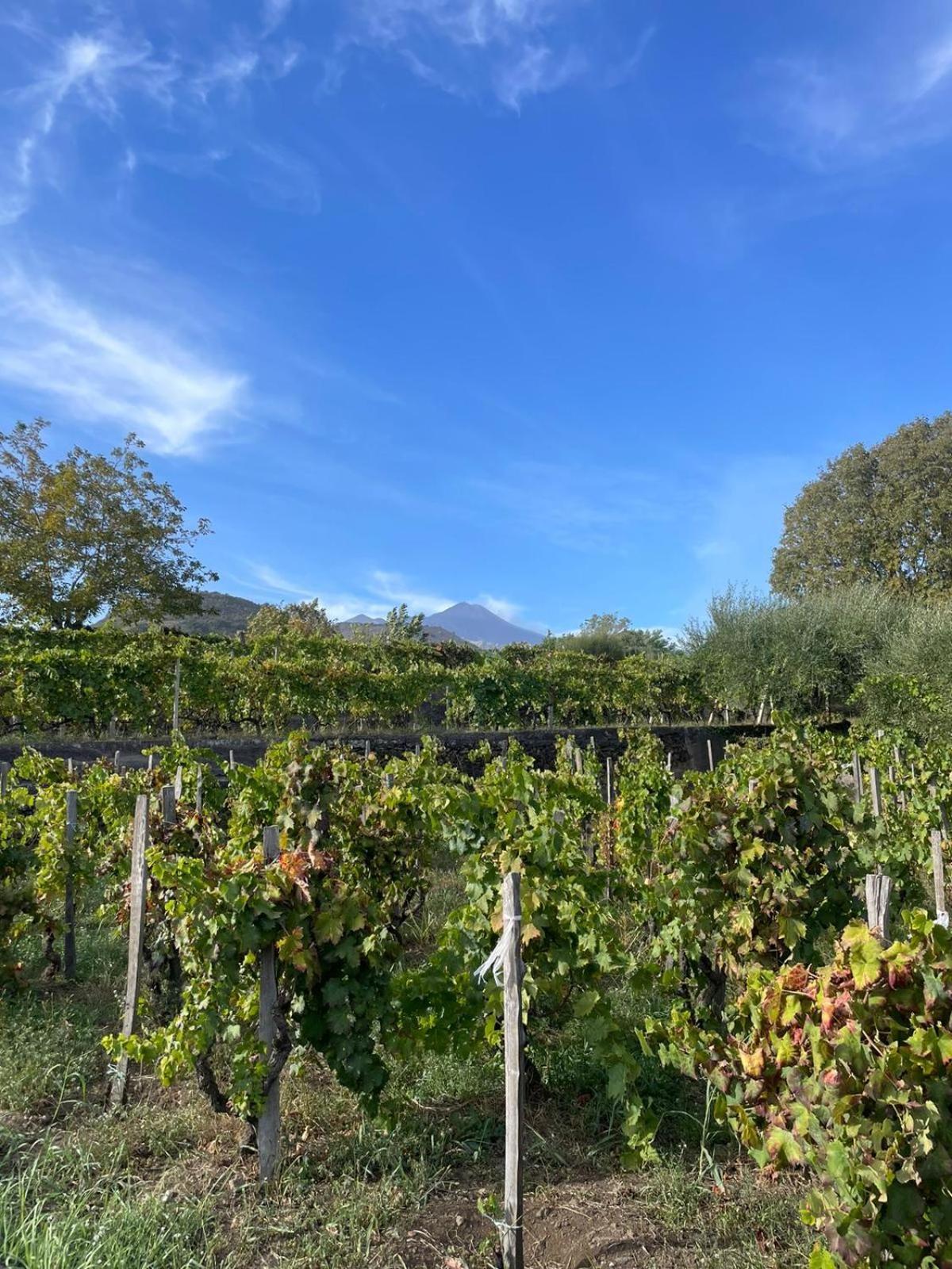 Le Dimore Del Corso II Ad Acireale Fra Catania, Taormina, Il Mare E L'Etna Esterno foto